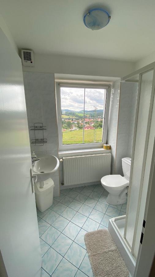 Penzion Kamejk Kamyk nad Vltavou Bagian luar foto