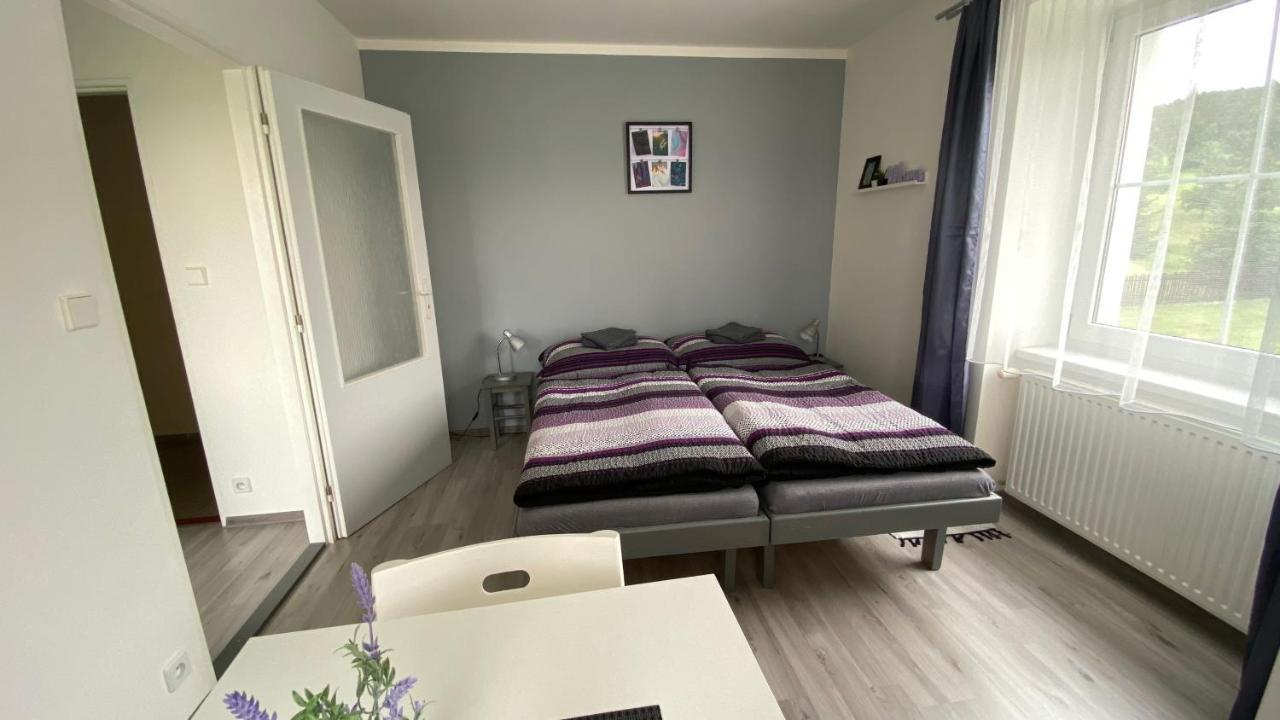Penzion Kamejk Kamyk nad Vltavou Bagian luar foto